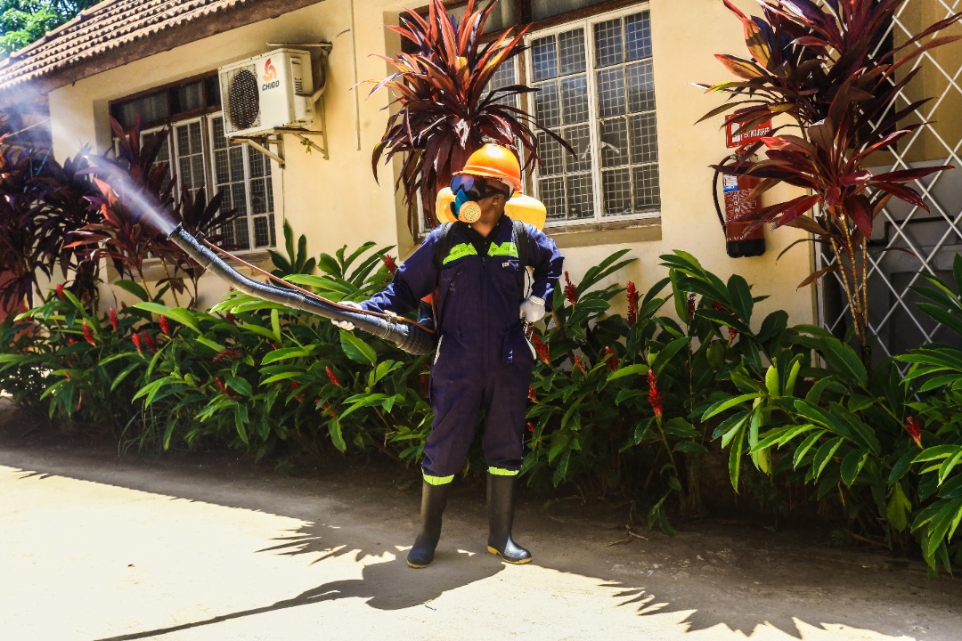 Fumigation and Pest Control Services